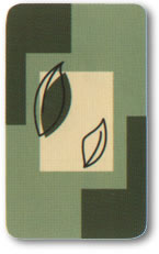 Badev�relser, Badekar