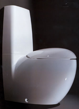 Toiletter