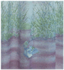 Badev�relser, Badekar