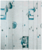 Badev�relser, Badekar